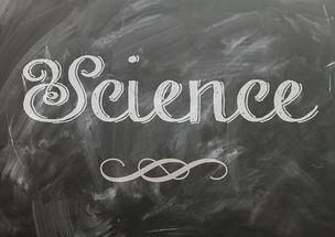 爱游戏体验-麦考领袖风范：全黑队胜利的灵魂人物，麦考3个总冠军